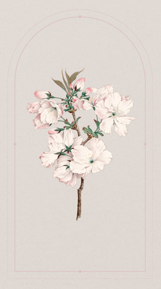 Watercolour Florals Wallpaper