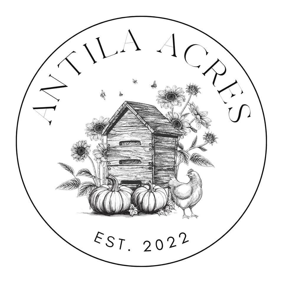 Business Logo Design & Branding Package