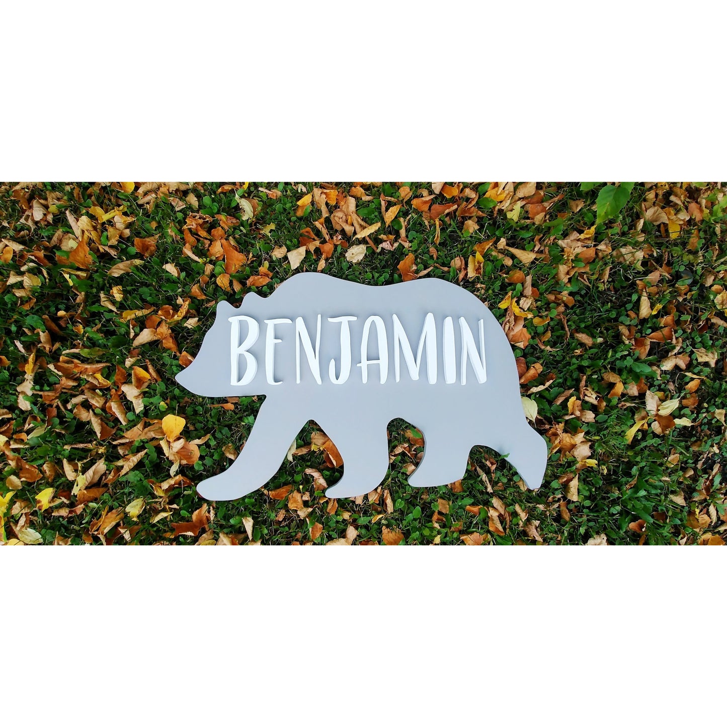 Animal Cutouts - Déco Véro