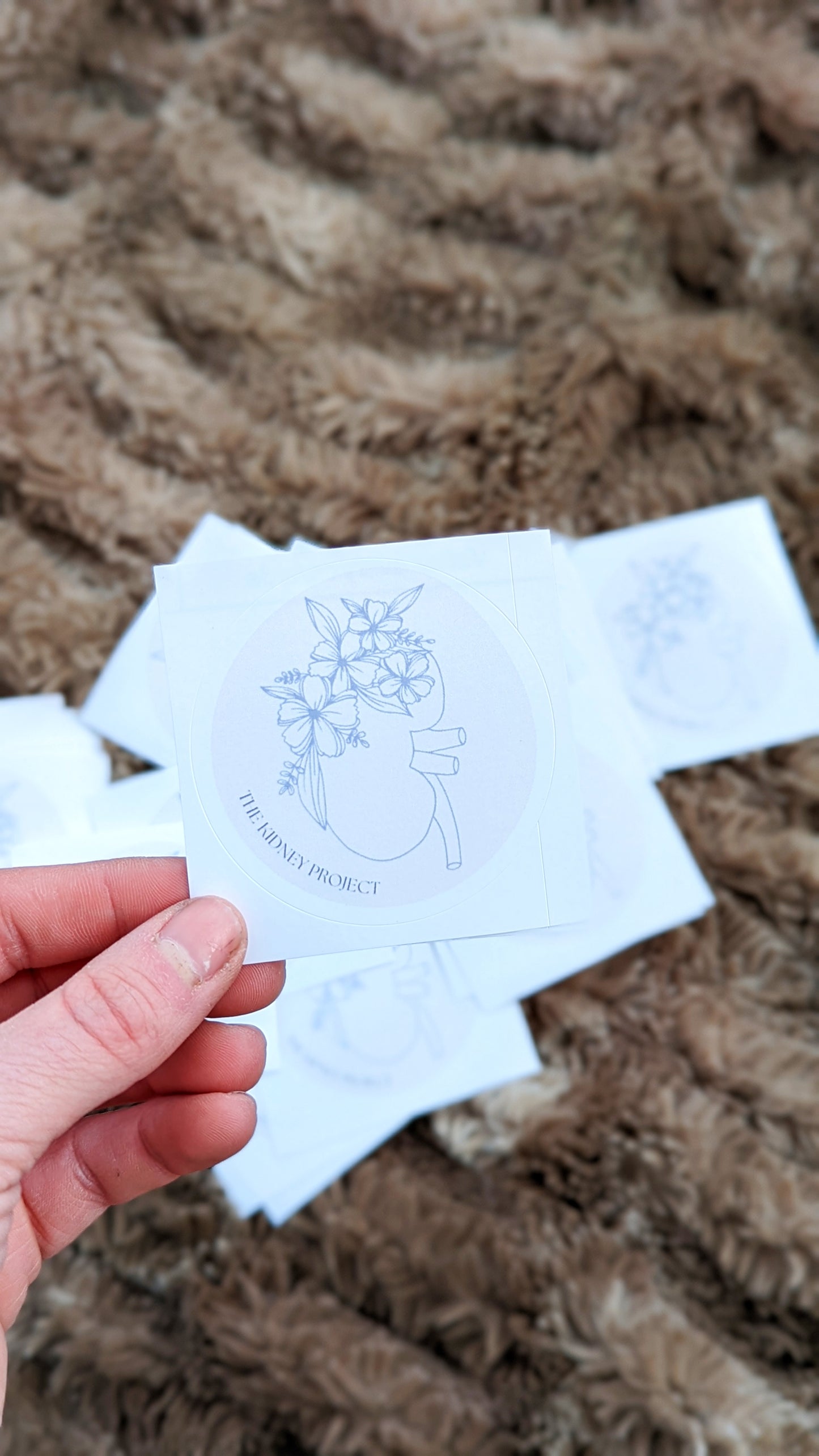 The Kidney Project - Logo Stickers