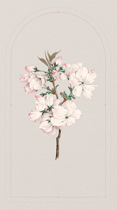 Watercolour Florals Wallpaper